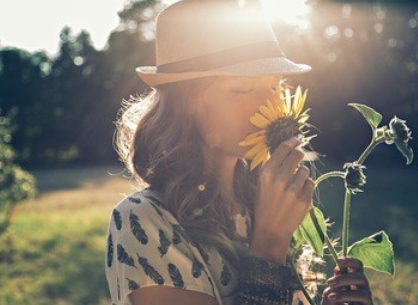 论法治文化的内涵与特征