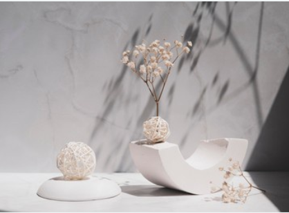 宪法在国家和社会生活中具有总括性、原则性、纲领性、方向性