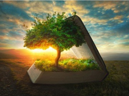 继承法律关系中对继承人故意杀害行为的认定