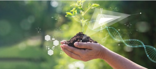 银行卡被异地盗刷如何正确维权？