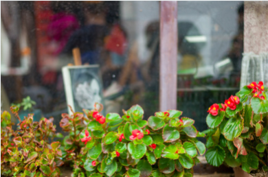 斑斓影像里的法治深意 对话三位法律学者